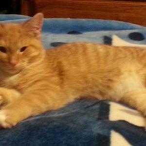 Meet your Posher, Christine