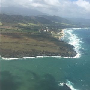 Meet your Posher, Cat