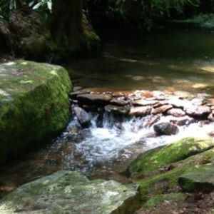 Meet your Posher, Anne