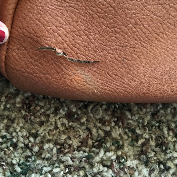 Backpack! - Picture 3 of 4