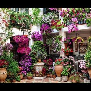 Meet your Posher, Kumar