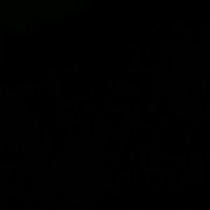 Meet your Posher, Raechelle