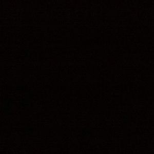 Meet your Posher, Connie