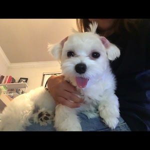 Meet your Posher, Yeon