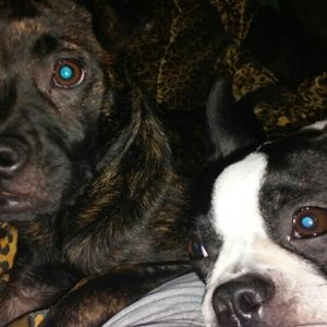 Meet your Posher, Carla