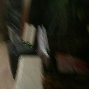 Meet your Posher, Toni