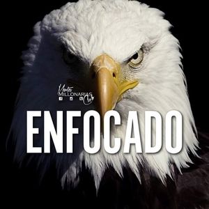 Meet your Posher, Edwin