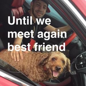 Meet your Posher, Ian