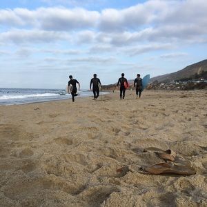 Meet your Posher, Gavin