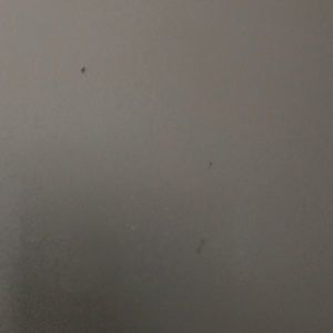 Meet your Posher, Himanshu