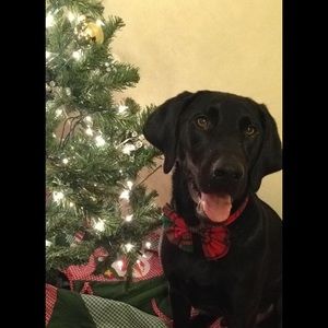 Meet your Posher, Joann