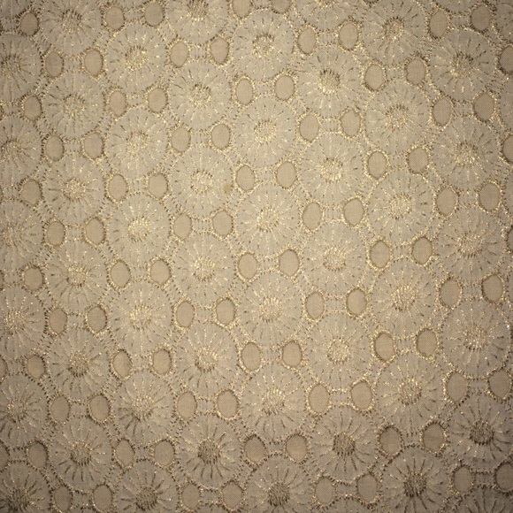 WHBM dress. Perfect for any occasion. - Picture 4 of 4