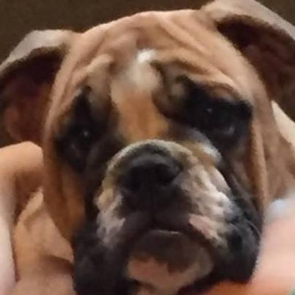 Meet your Posher, Jenn