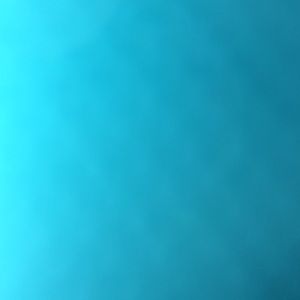 Meet your Posher, Maddie