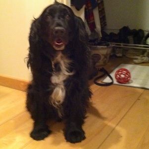 Meet your Posher, Selina