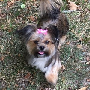 Meet your Posher, Tiffany