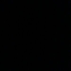 Meet your Posher, Charles