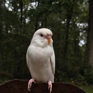 Meet your Posher, Kay