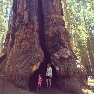 Meet your Posher, Cassandra