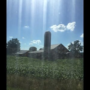 Meet your Posher, Fabiola