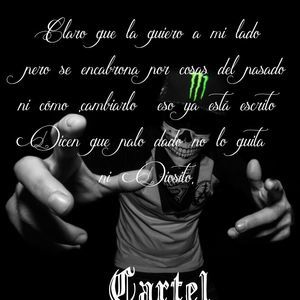 Meet your Posher, Hector