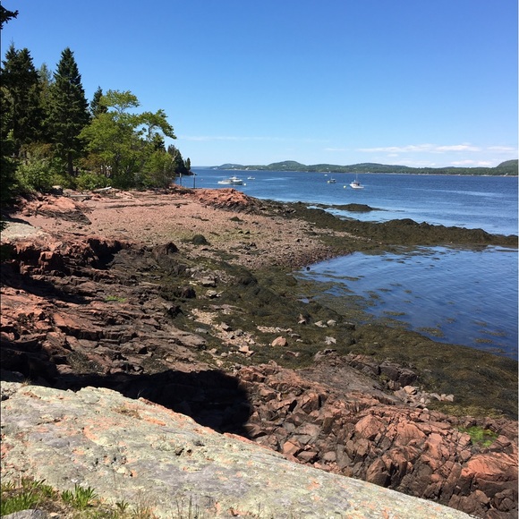 Meet your Posher, Amanda - Picture 3 of 7