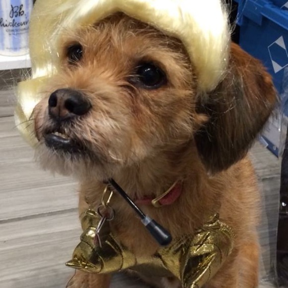 Henry in costumes - Picture 2 of 4