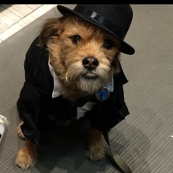 Henry in costumes - Picture 4 of 4