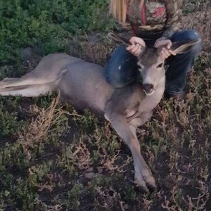 Meet your Posher, Whitney