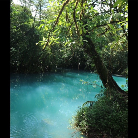 Meet your Posher, Melissa - Picture 2 of 4