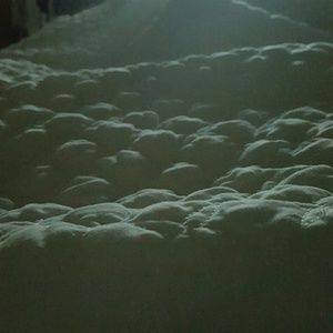 Meet your Posher, Candace