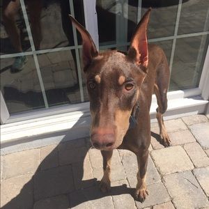 Meet your Posher, Jaime