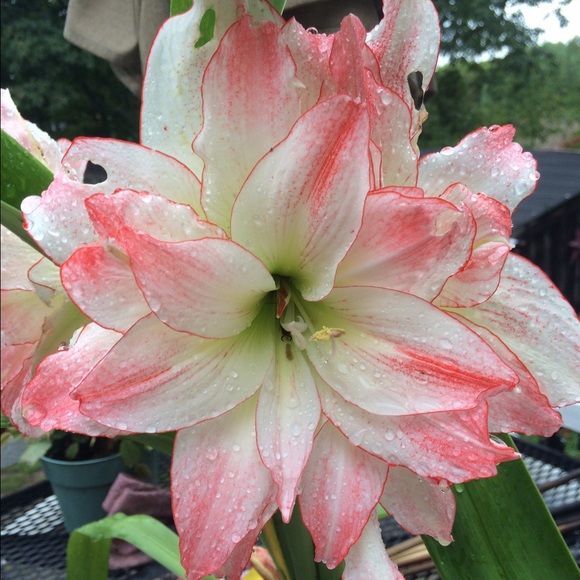 Meet your Posher, Kathleen