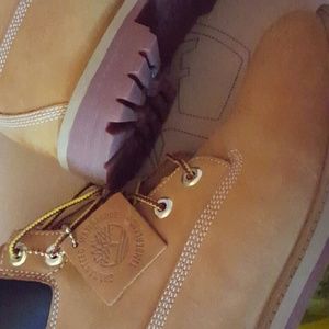 timberlands