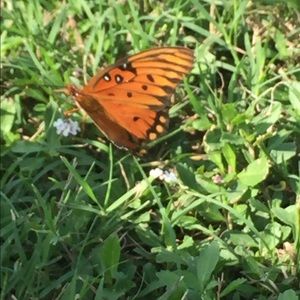 Meet your Posher, Ashlynne