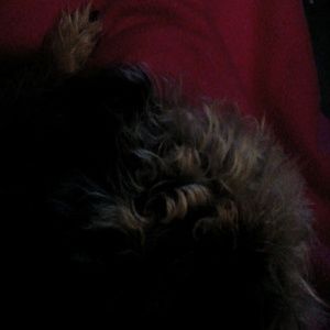 Meet your Posher, Sherri