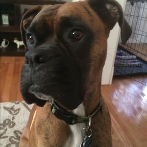 Meet your Posher, Angela