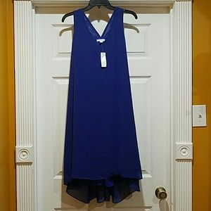 Merry Christmas! NWT NY&C Sexy Blue Dress