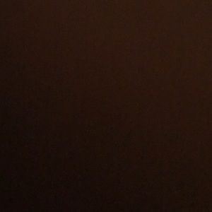 Meet your Posher, Molly