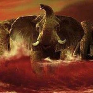 Meet your Posher, Curtis