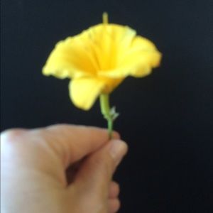 Meet your Posher, Denise