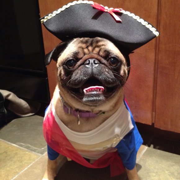 Meet your Posher, Leslie - Picture 3 of 3