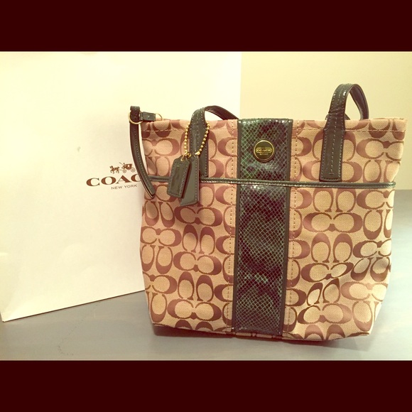 Lowestcoach Python Stripe Purse In Green - image 1