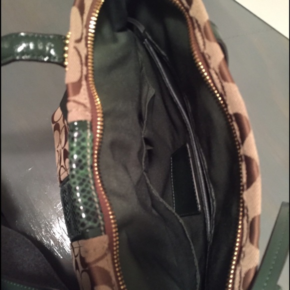 Lowestcoach Python Stripe Purse In Green - image 2