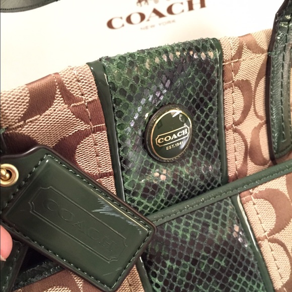 Lowestcoach Python Stripe Purse In Green - image 4