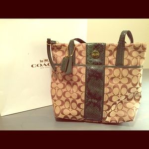 🎉lowest🎉Coach Python stripe purse in green