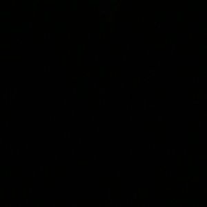 Meet your Posher, Rickie