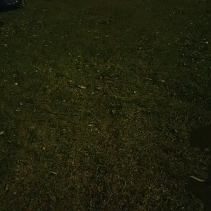 Meet your Posher, Shonda