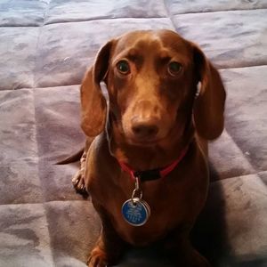 Meet your Posher, Jamie