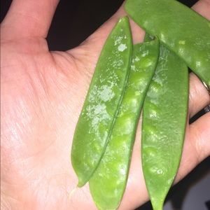 Meet your Posher, Ying